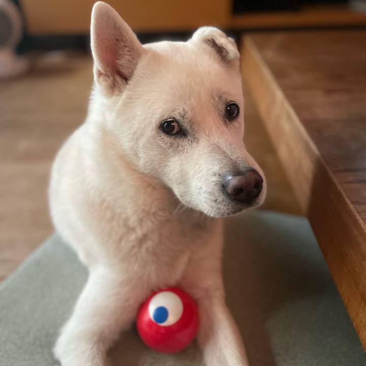 C8f3fa23 40aa 475a 81cc 3c11414ab8cf 1746432170539