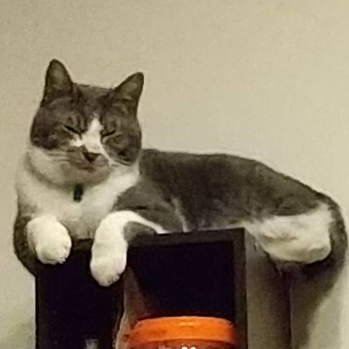 C8f43467 ad50 49ce b348 e54d936d2980 1610185890126