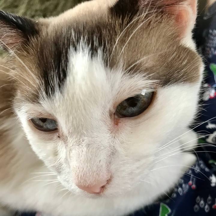 C8f4782d dcff 4c78 836d 696c5db2ef60 1597304326618