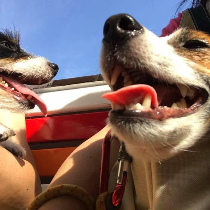 C8f48ba2 4ce8 4b1c a858 27be494b2beb 1716290083189