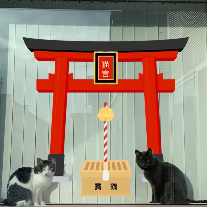 C8f4c0f0 93ca 4675 940f 339e66989285 1767490623623