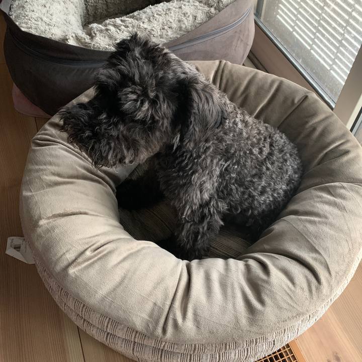 C8f4c5c3 307f 4cd9 8997 1fbd21a38593 1691722391018