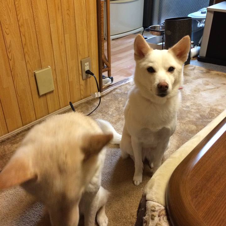 C8f4cd9f e4a2 47c3 8f26 0ecfc15e5bf1 1547469539742