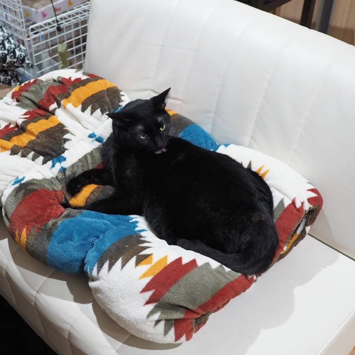 C8f4e0f9 c34f 4148 addc aaa4c62a4cf0 1541514866668