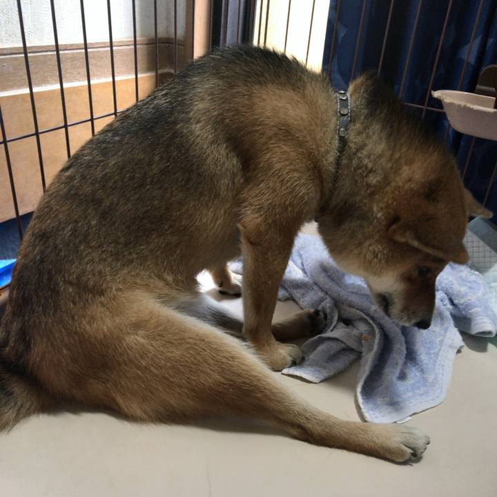 C8f5077d 51f0 4994 a5f8 bca027dfaaa8 1535114237320