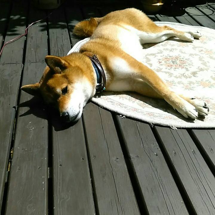 C8f54485 bb00 41d0 b675 64ab245fa864 1563511693155