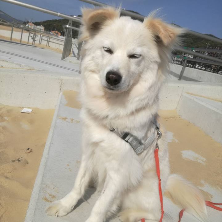 C8f54700 44b6 4641 9d86 5c7de585b6bc 1523580877193