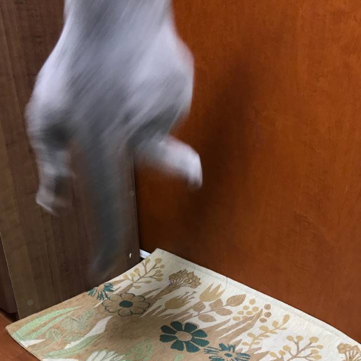 C8f57b2c 652b 4e7d 8db7 5264da99faa6 1519526181463