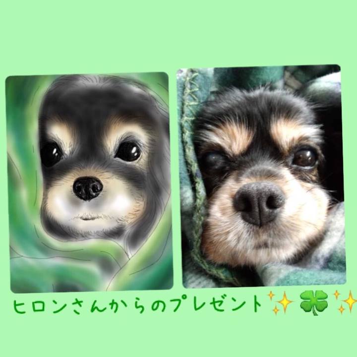 C8f59215 91a4 43ca 87cd 7b22bcfab6f0 1563402916227