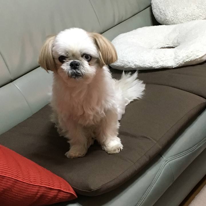 C8f5abf3 c4c0 43bc 8098 88a5f783bd28 1573102298871