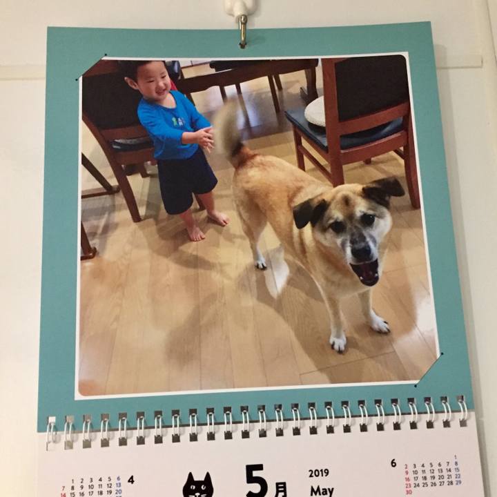 C8f5f56b 5bbc 4b8a 8e43 d62503b0bbeb 1559037246601