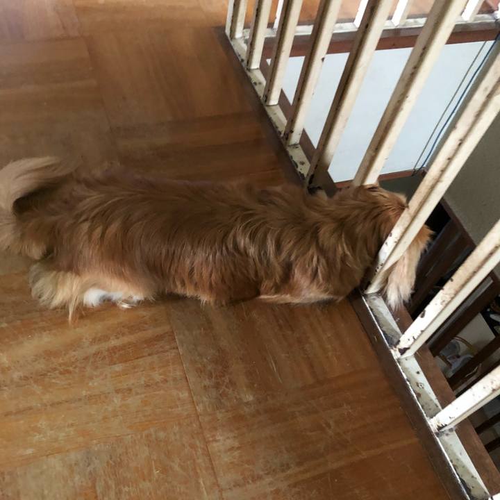 C8f60326 6d5e 40e1 a1f8 36ac9fe2245e 1525731465734