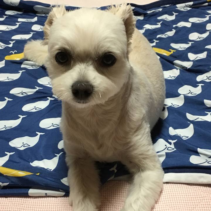 C8f60364 9f8a 452f 9c9a a85f0e1019df 1566728918210