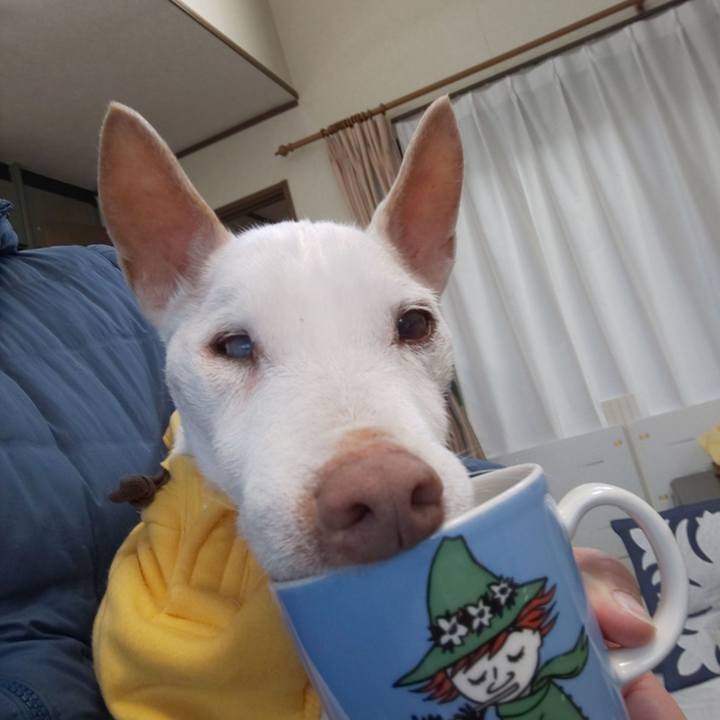 C8f61939 f70e 429d 98e6 21e42a39c718 1584920314882