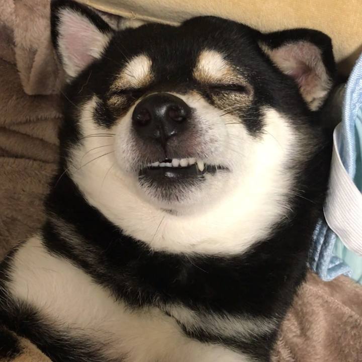 C8f63b10 1833 44d0 9d1a 1027caef8439 1539060624008