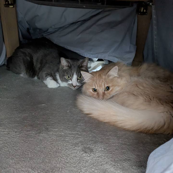 C8f640d9 f82a 4bf7 8d4a 172b3374043f 1773368253244