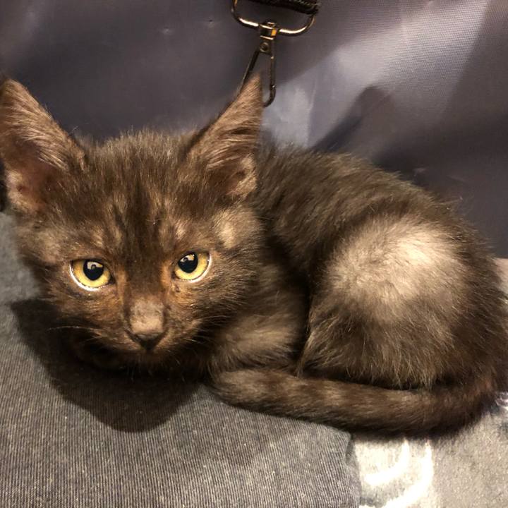 C8f65b25 e974 4829 989b d2bcf25b1a81 1604585676449