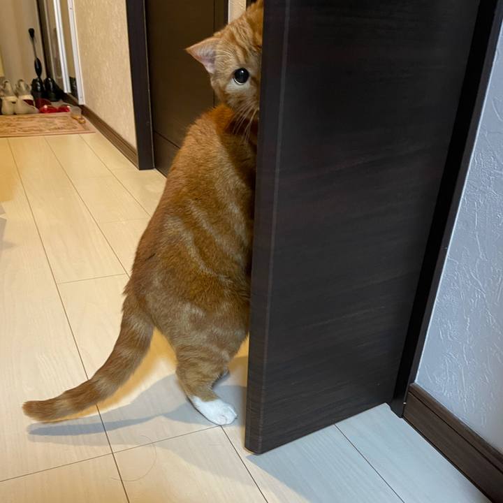 C8f65f7e 6acb 4caf ae13 4a99d95a55a7 1617888392635