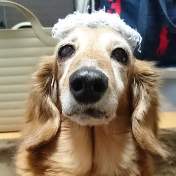 C8f68299 2293 40c7 9558 ceaaf3ff17bb 1583255950948