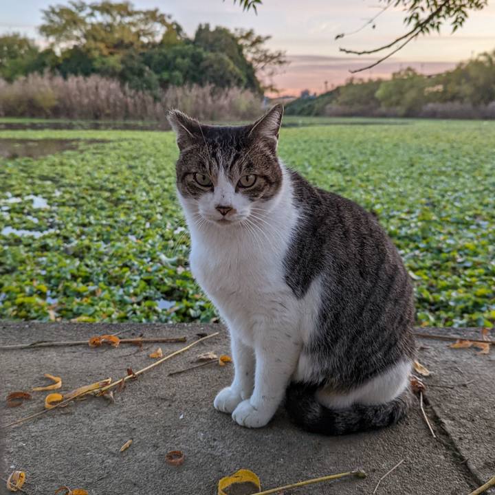 C8f69cba 2d84 4bda 8b95 0fc566a450c9 1669365303923