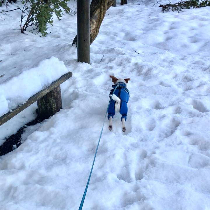 C8f6a4f9 d7c4 4906 9eb4 85f124cde815 1640690798063