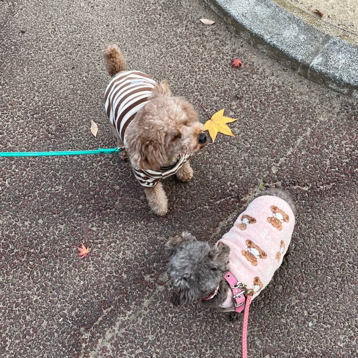 C8f6e4c8 0c82 4b71 bc11 324a216a5697 1701329714211