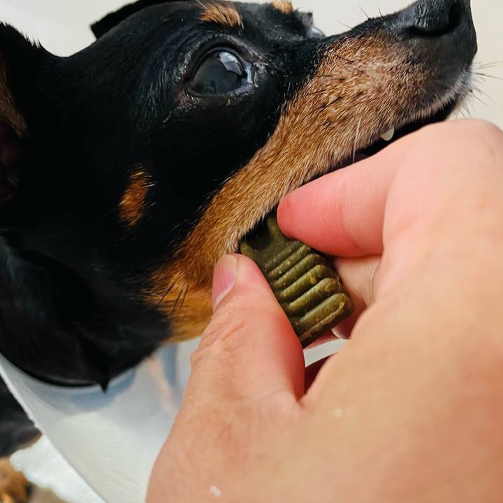 C8f6f981 2eb9 453f 93aa 86b84abd2d28 1753828313972