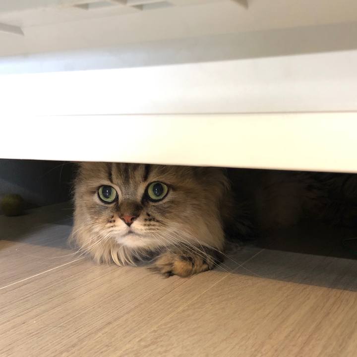 C8f73d9c 4969 4d1d a6dc 57c0f60a46c5 1565774248287