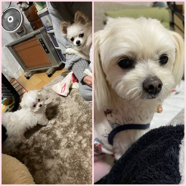 C8f77366 fa5c 4027 bc15 0e05a5643da8 1702024251851