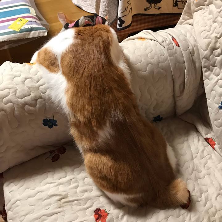 C8f78621 ca8c 44e9 9cc4 61159b70339b 1555151092295