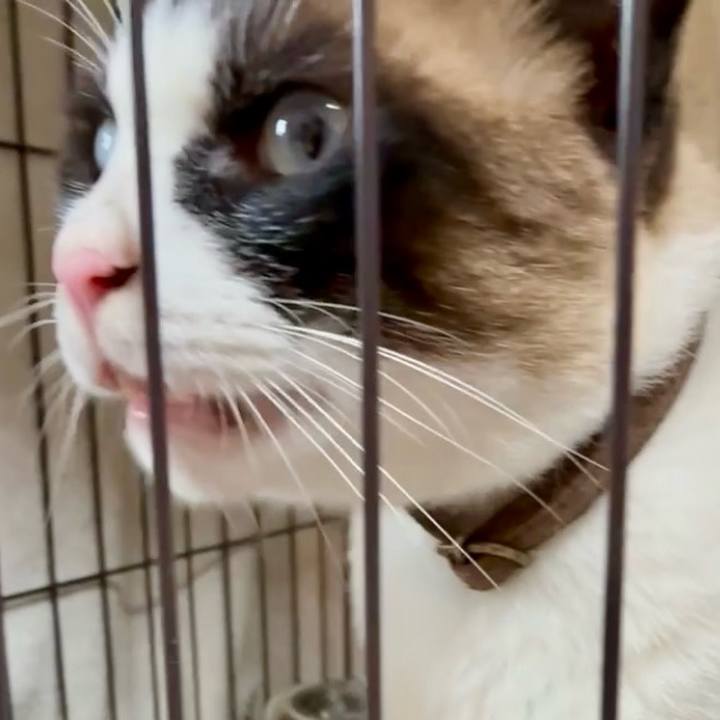 C8f78bad 489e 42f5 b4d5 69842762b575 1750334031486