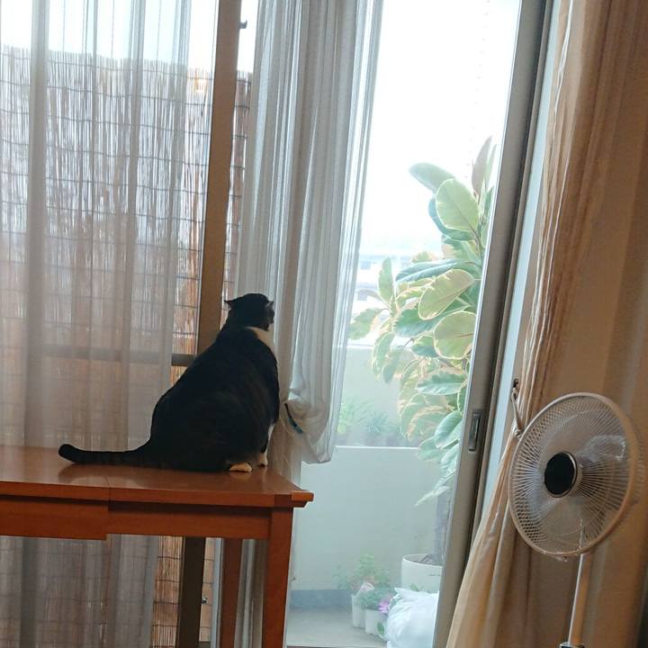 C8f7a6f0 3a43 4e8a 8cb4 fc15103e13b0 1565778406534