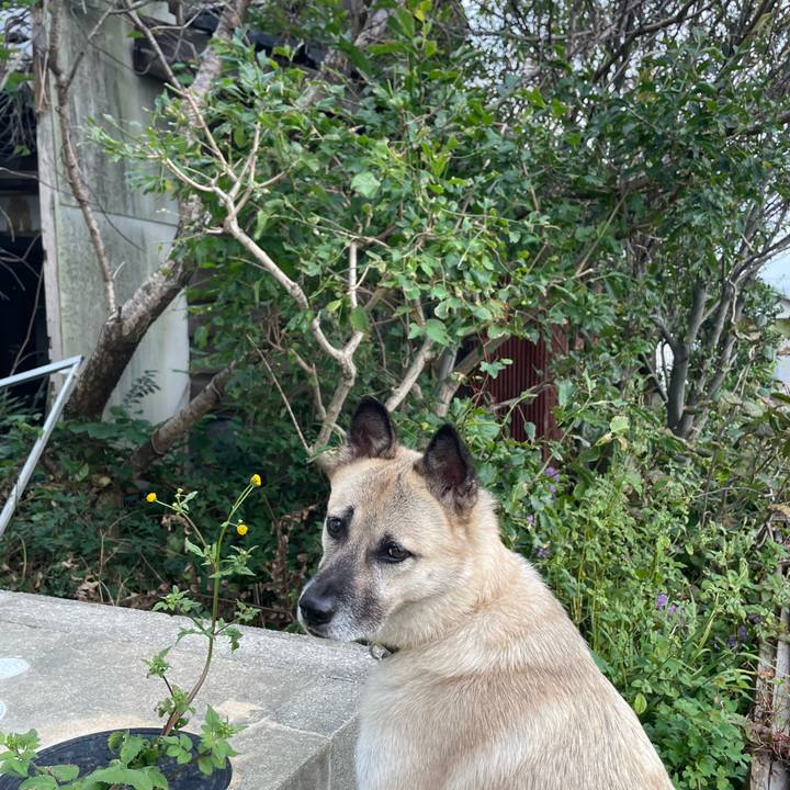 C8f7acc5 3196 4ade b00d 4e257114ae2a 1664192481439