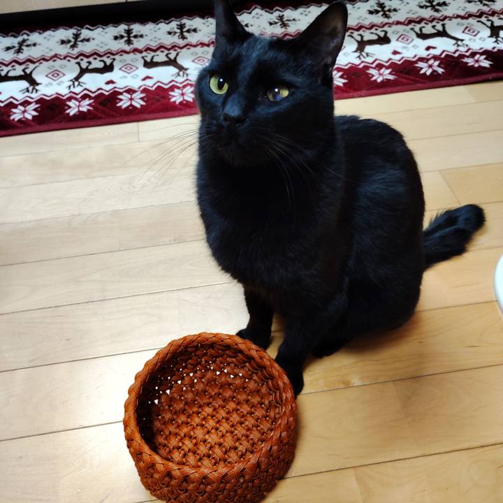 C8f7bbd0 e97d 4611 8883 71aa018c73d1 1741645810061