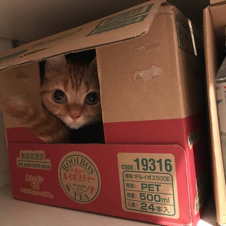 C8f7c15e 8583 4e1a 9755 f71238ed25f0 1536278789121