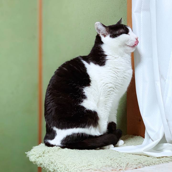 C8f7fcae ff41 4c56 b29b 5665263d0115 1554434903624