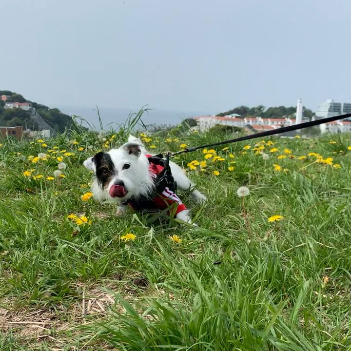 C8f82ce0 c0c0 4ece 8a9c fccf3cb97c69 1650501238464