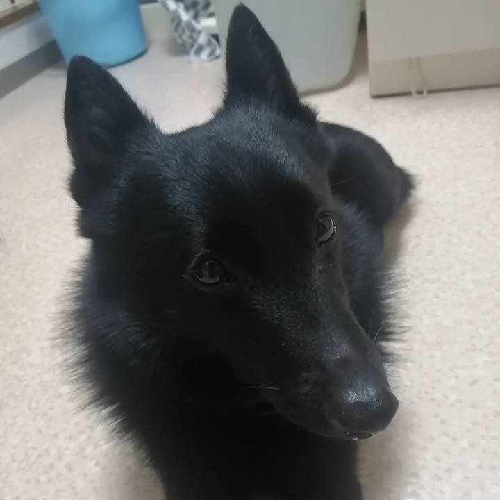 C8f86c54 8a96 46ba 8164 3f53bc091ff2 1620166768221