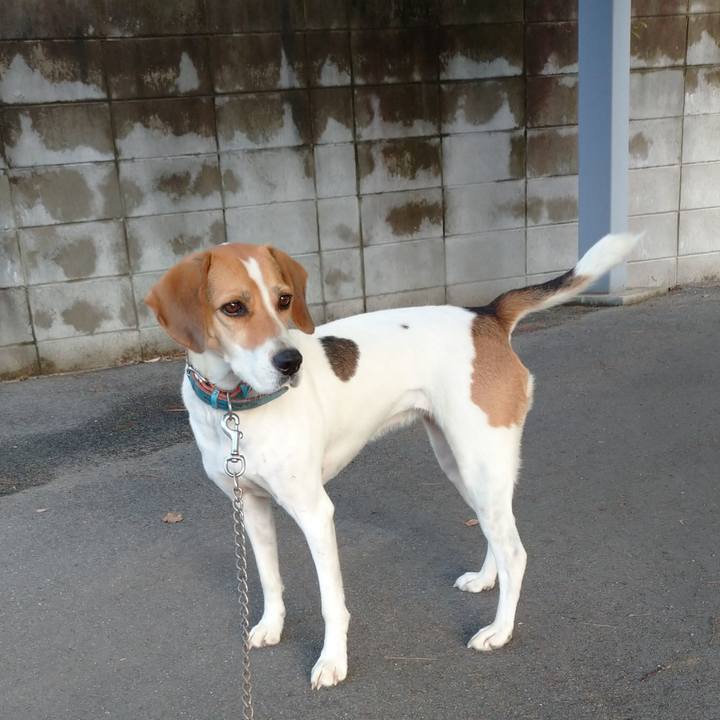 C8f8b7d9 7672 4cf8 8c77 ab0cbe798d31 1603004656308