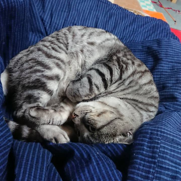 C8f8c774 f798 4d79 b8ba 14dd1fdd965b 1544362129657