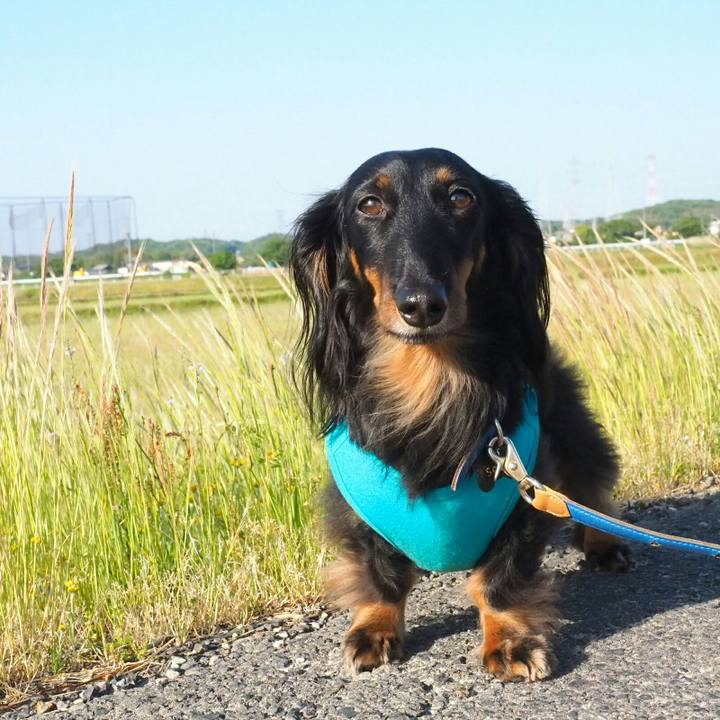 C8f915ea a150 47e8 ae8b 19fd09b6dde4 1526000011210