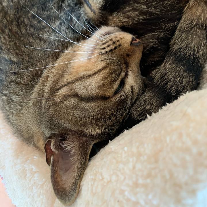 C8f91dda ab9e 4a10 b903 78fe070fd378 1589677824334