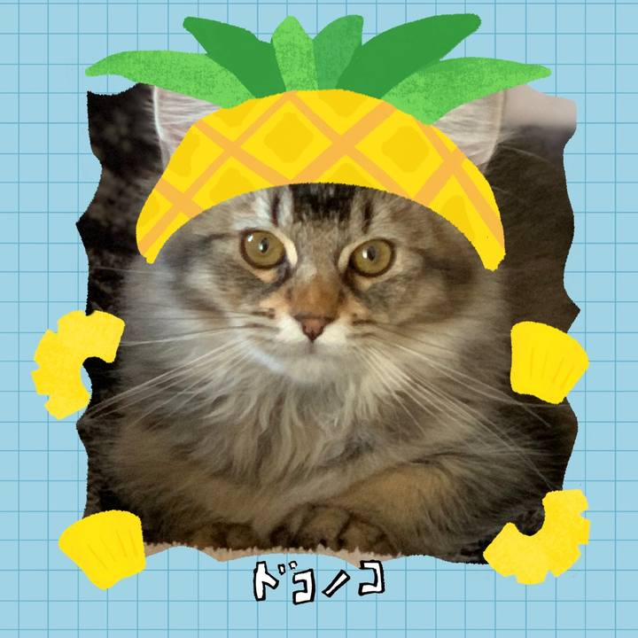 C8f93236 4120 4fa8 b9f8 b127ac1bfa9a 1783498327489