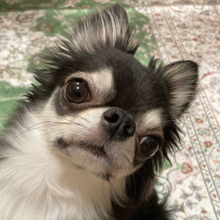 C8f9359a 3094 4548 889b 0e0754d5d10d 1660487249436