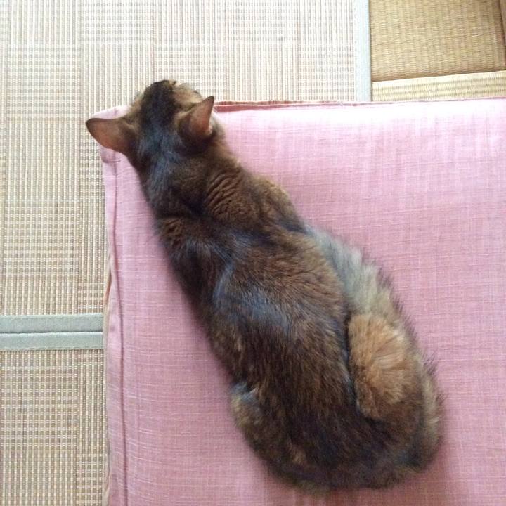 C8f9732e 93a3 4567 9221 c079326d0720 1567034969672