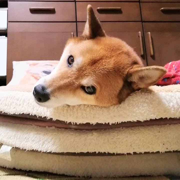 C8f99ba9 1b04 4e7e bf23 06f17ef1bf33 1629730155168