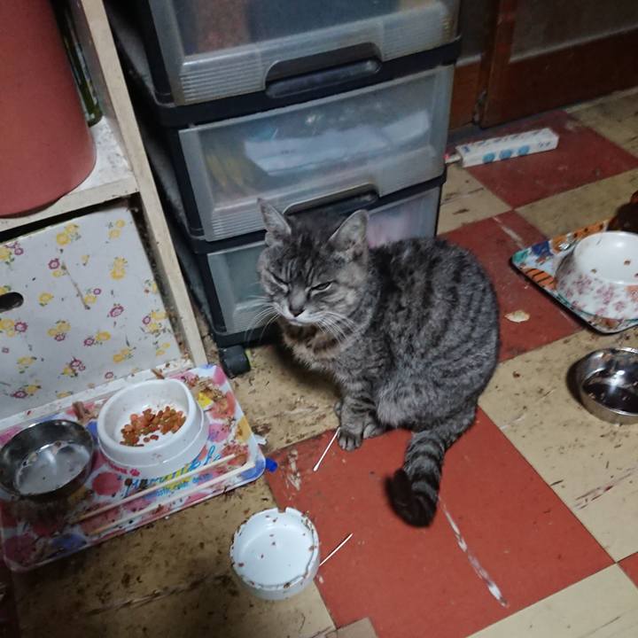 C8f9a2ea 1e6a 4e35 9f01 e25769270451 1581626149485