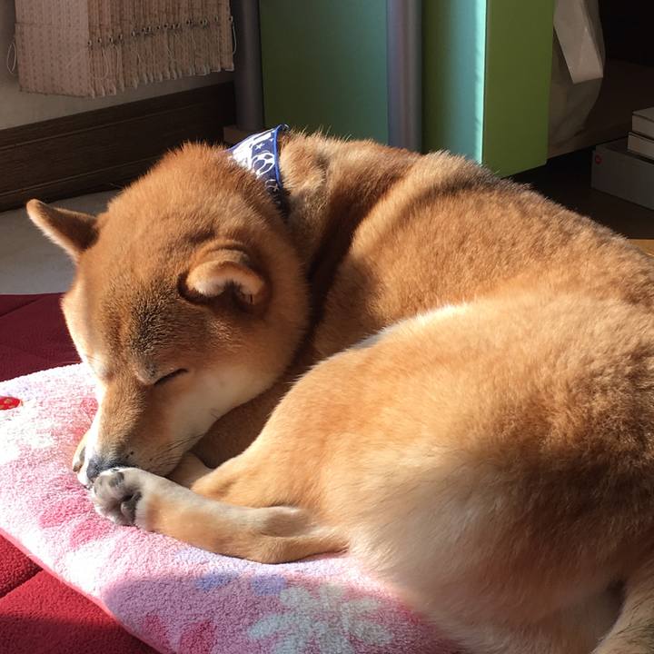 C8f9fa70 c564 4dfb 88b3 75904cda51f3 1516668573777