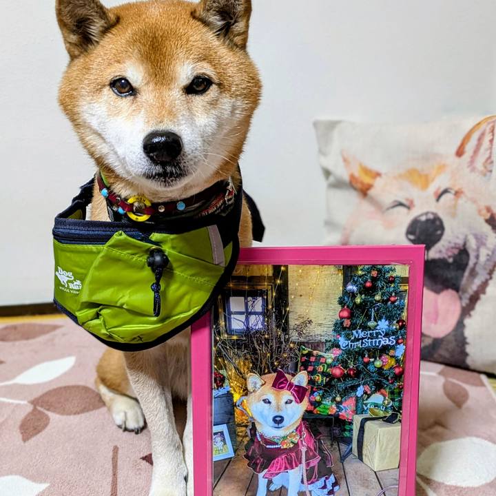 C8fa29b7 55c6 423c 9919 09e9a819d9ec 1766810774224