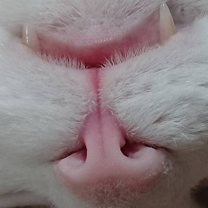 C8fa31f5 5b0b 47b6 bd4b 63fa606a81f7 1584844708963